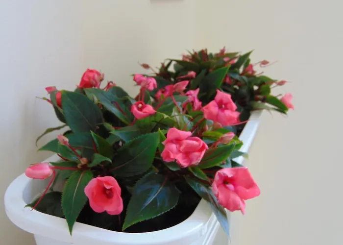 Апарт-отель Liberty 4*