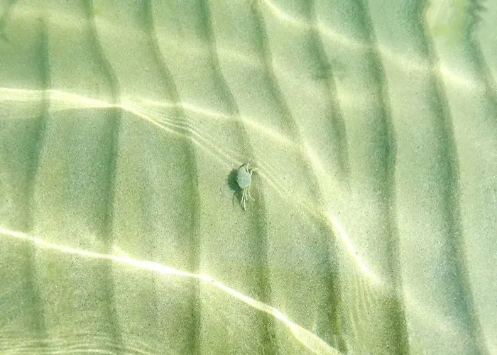 Liberty Апарт-отель